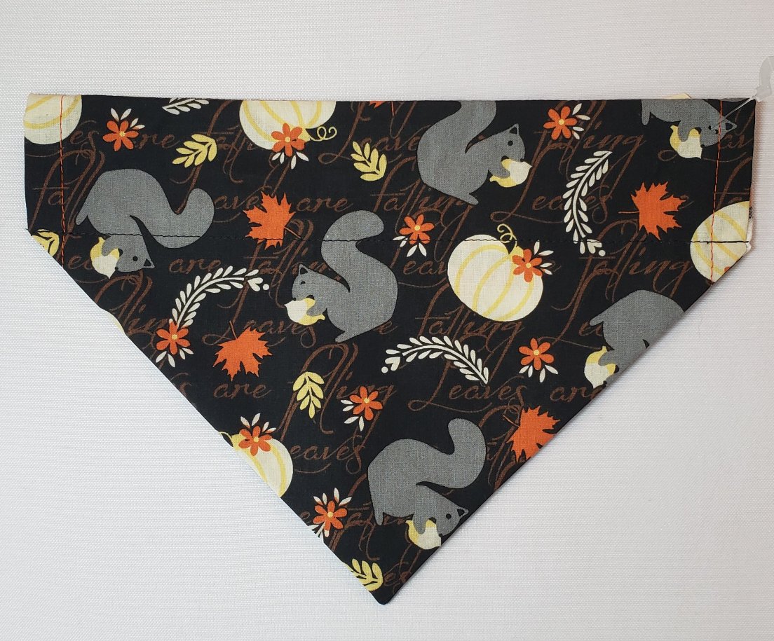 Squirrels Over-the-Collar Pet Bandana