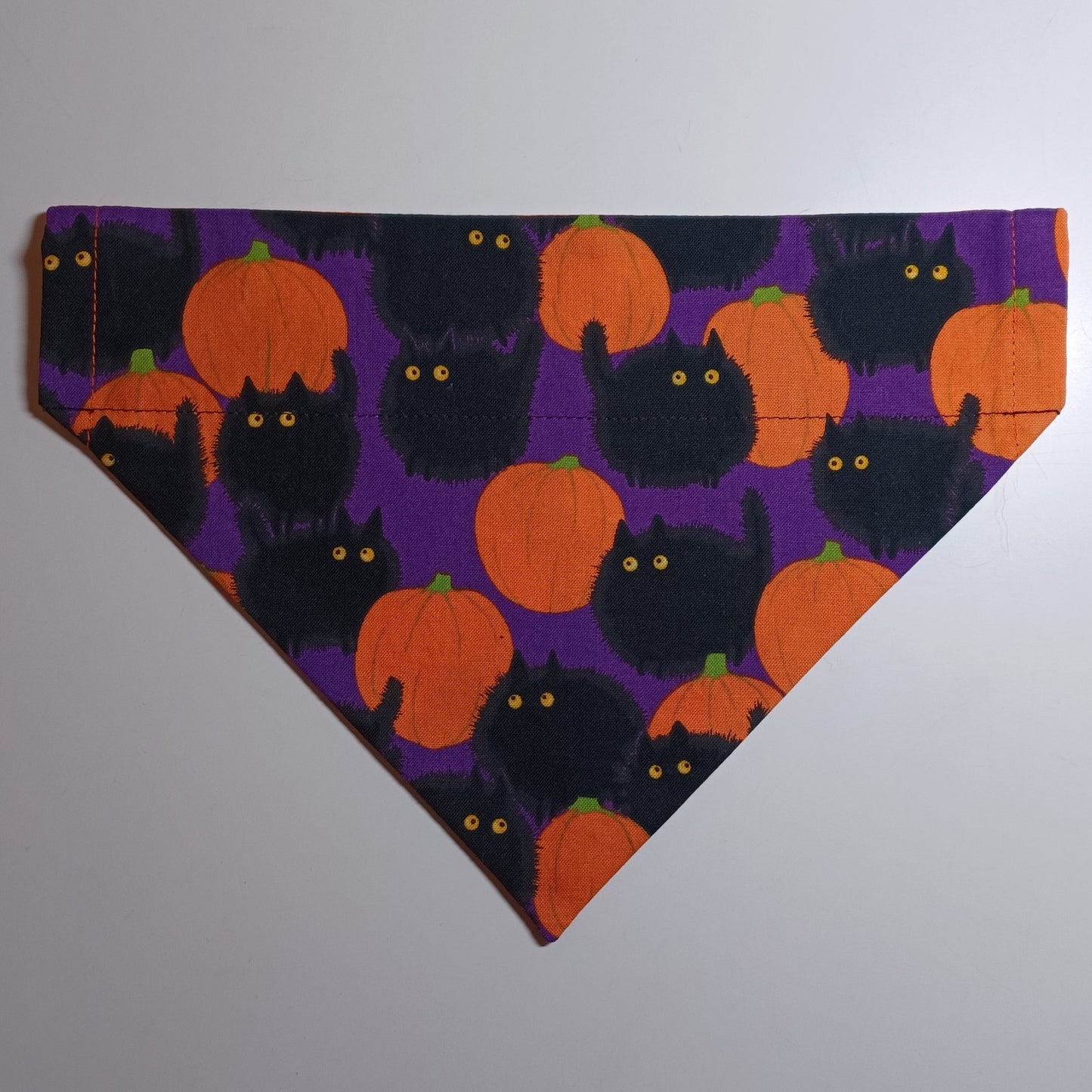 Black Fluffy Cat with Pumpkins / Pumpkins on Brown Over-the-Collar Pet Bandana