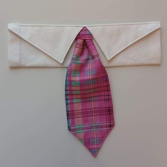 Pink with Blue Plaid Over-the-Collar Pet Necktie & Shirt Collar