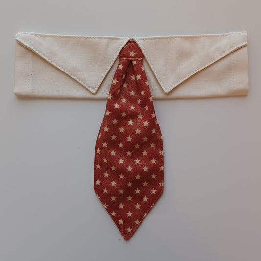 Aged Stars on Burnt Orange Over-the-Collar Pet Necktie & Shirt Collar