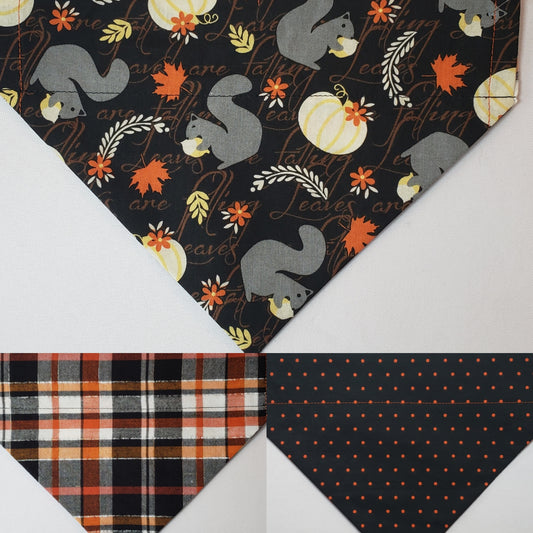 Squirrels Over-the-Collar Pet Bandana