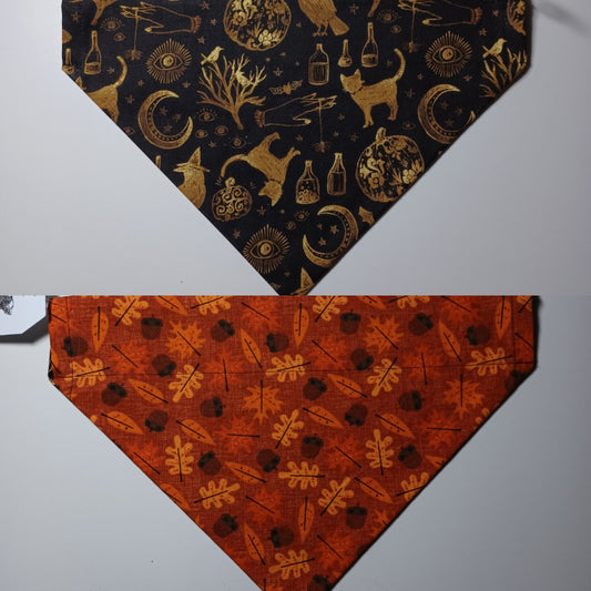 Witchy Halloween Gold on Black Over-the-Collar Pet Bandana