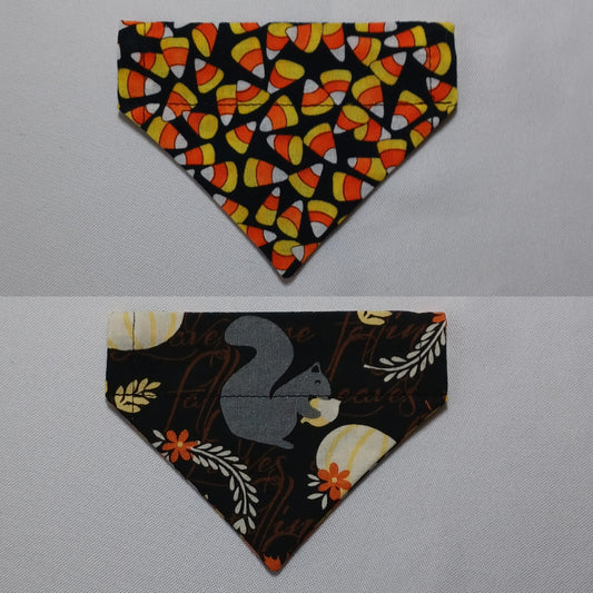 Halloween Candy Corn / Squirrels Over-the-Collar Pet Bandana