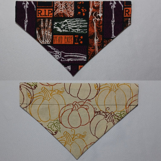 Halloween "Bad to the Bone" Skeleton / Pumpkin Outlines Over-the-Collar Pet Bandana