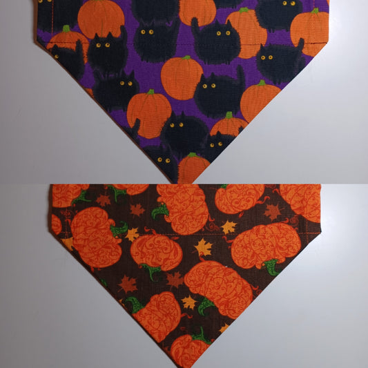 Black Fluffy Cat with Pumpkins / Pumpkins on Brown Over-the-Collar Pet Bandana