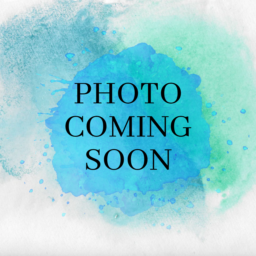 I Stand With Minnesota Embroidered Vinyl Key Ring