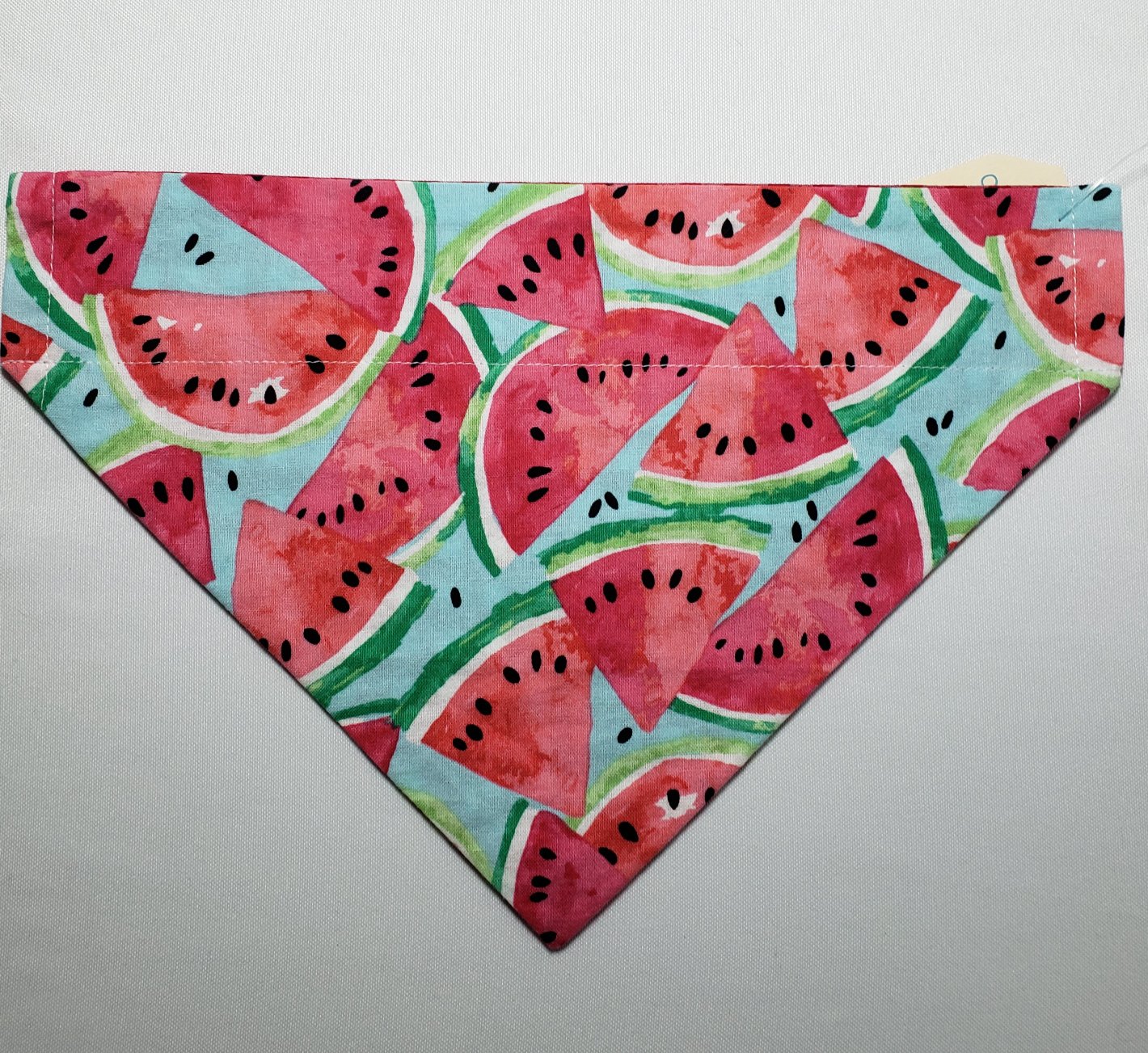 Watermelon Picnic Over-the-Collar Pet Bandana