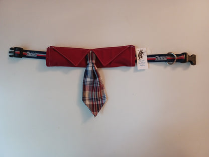 Red & White Picnic Plaid Over-the-Collar Pet Necktie & Shirt Collar