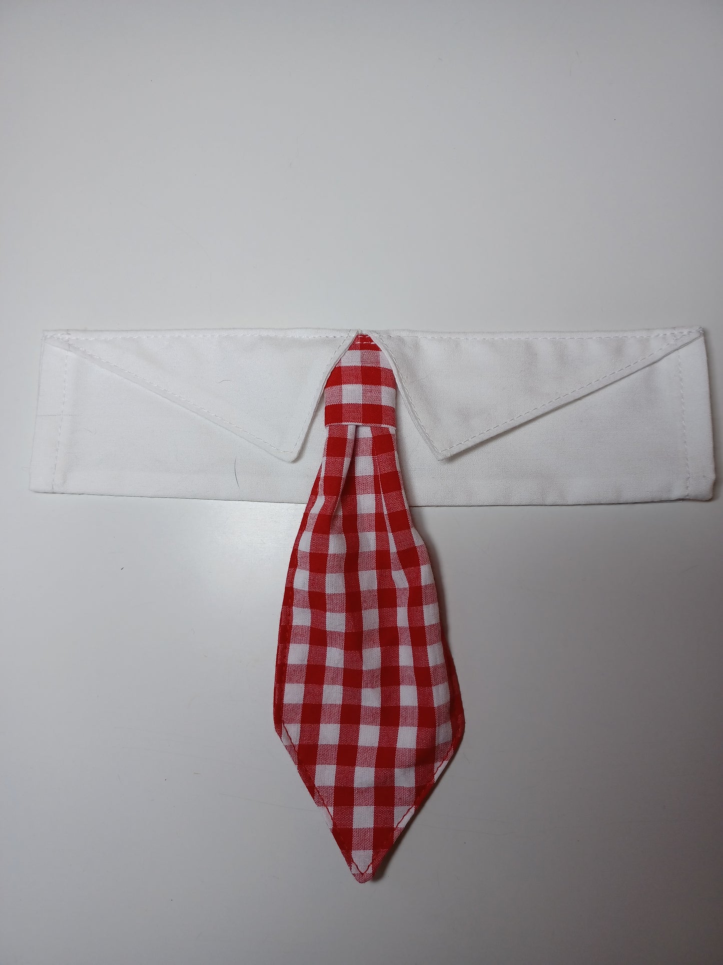 Red & White Picnic Plaid Over-the-Collar Pet Necktie & Shirt Collar