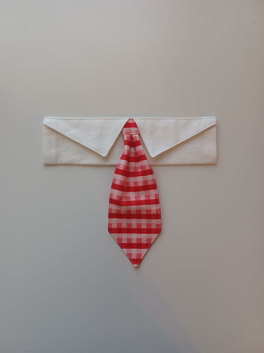 Red & Pink Gingham Plaid Over-the-Collar Pet Necktie & Shirt Collar